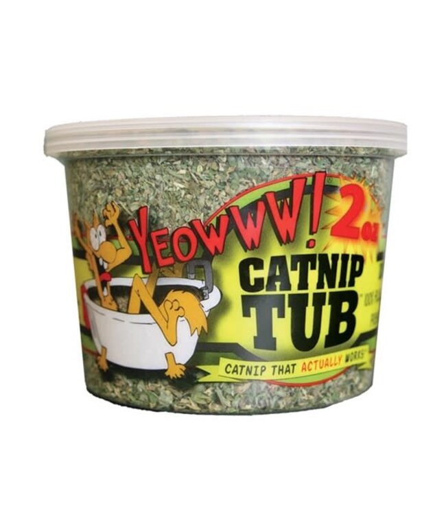 Yeowww! Katzenminze