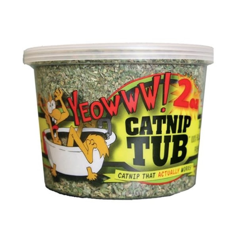 Yeowww! Catnip