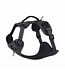 Rogz UTILITY Explore Harness