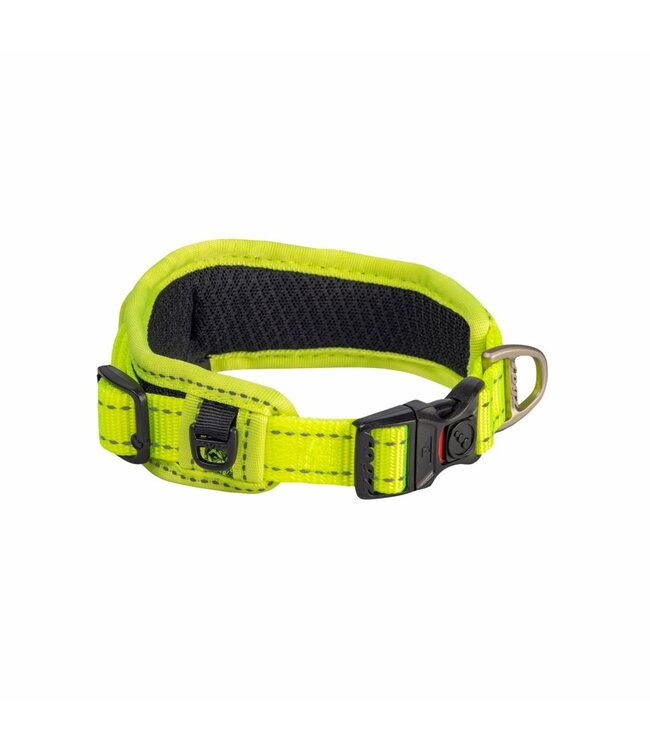Rogz UTILITY Classic Collar Padded