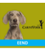 Carnivoer Eend Mix