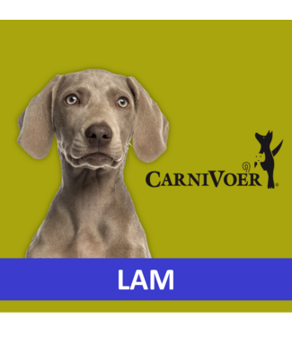 Carnivoer Lam Mix
