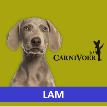 Carnivoer Lam Mix