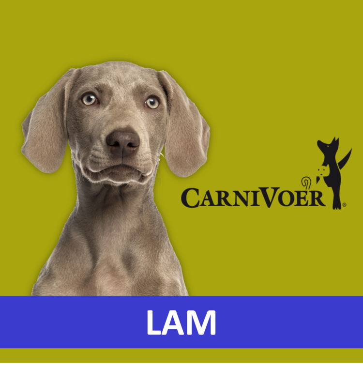 Carnivoer Lam Mix