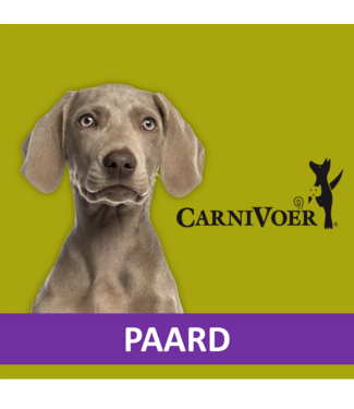 Carnivoer Paard Mix