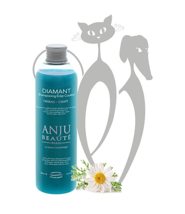 Anju Beaute Diamant Shampoo