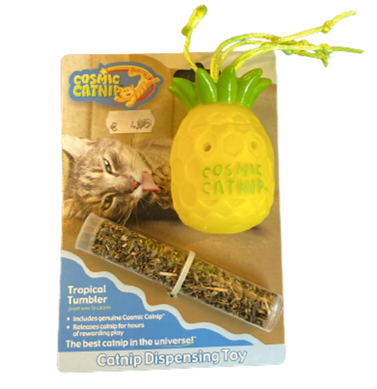 Cosmic Tropical Tumbler Catnip Dispenser (while stock last)