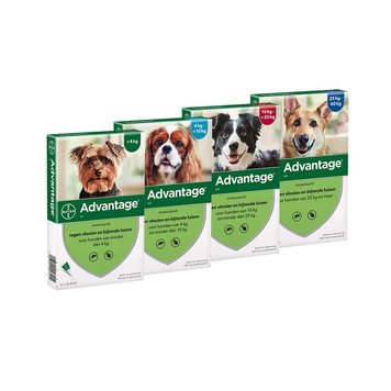 Elanco Advantage Spot-On Solution 4 st