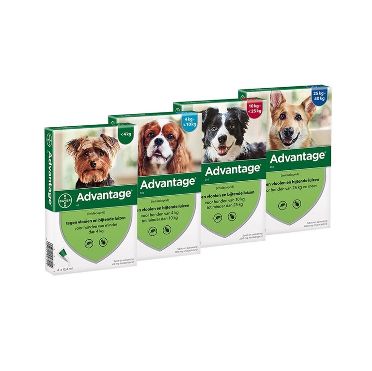 Elanco Advantage Spot-On Solution 4 st