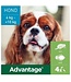 Elanco Advantage Spot-On Solution