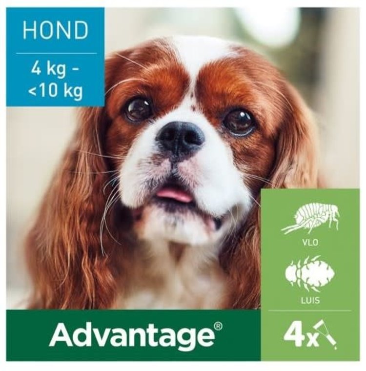 Elanco Advantage Spot-On Solution