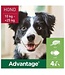 Elanco Advantage Spot-On Solution 4 st