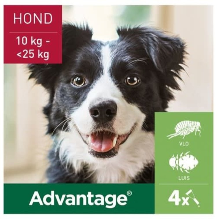 Elanco Advantage Spot-On Solution