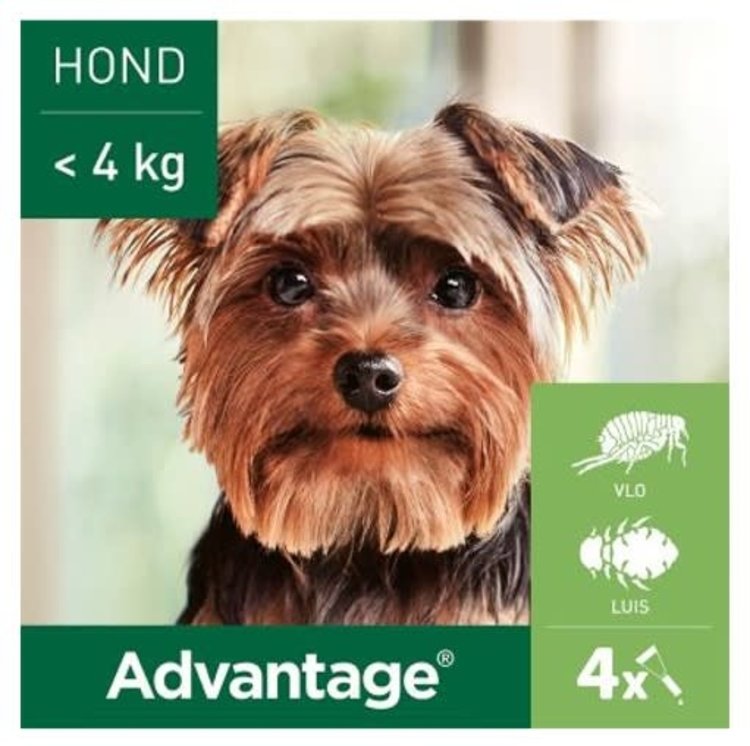 Elanco Advantage Spot-On Solution 4 st