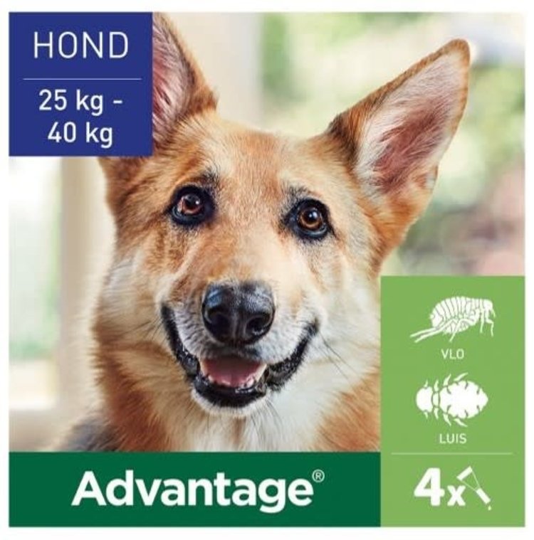 Elanco Advantage Spot-On Solution 4 st