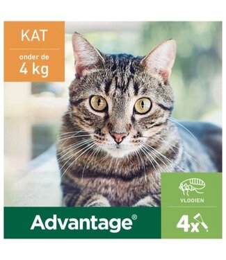 Elanco Advantage Spot-On Solution Kat 4 st