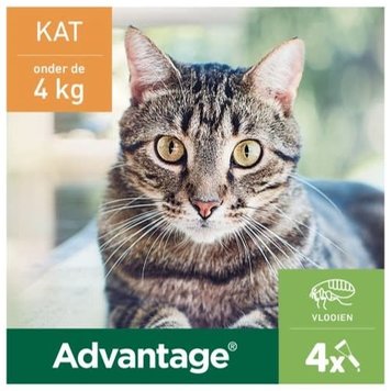 Elanco Advantage Spot-On Solution Kat 4 st