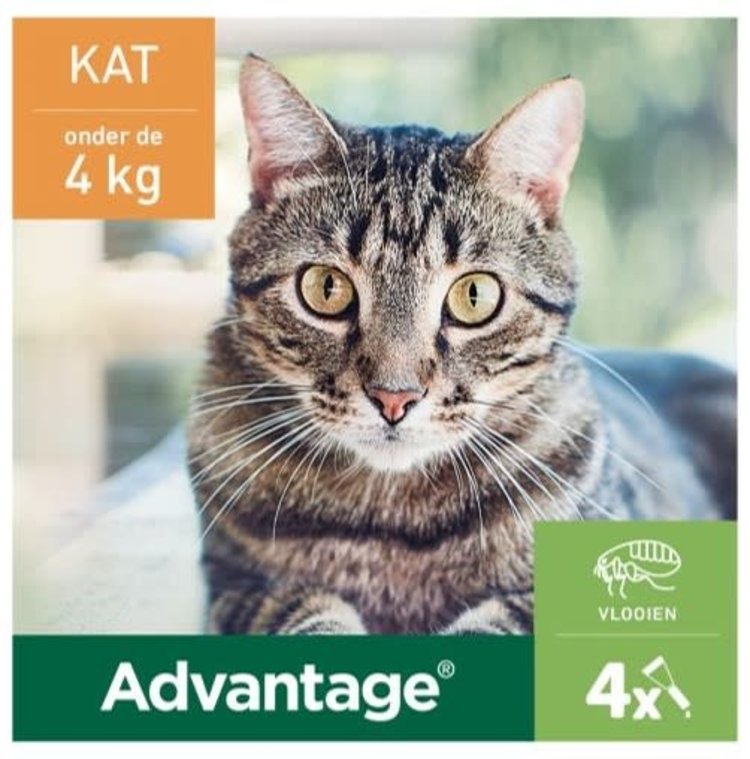 Elanco Advantage Spot-On Solution Kat 4 st