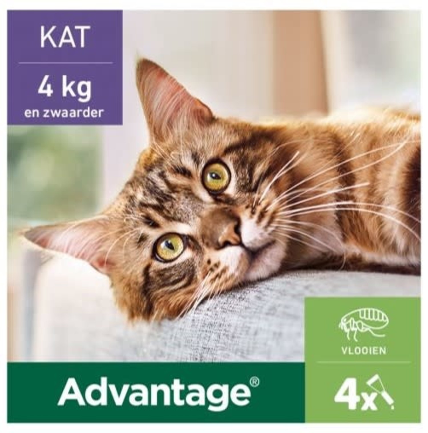 Elanco Advantage Spot-On Solution Kat st - Animalis
