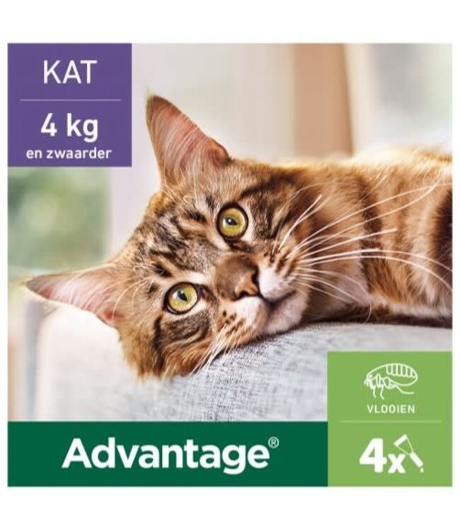 Elanco Advantage Spot-On Solution Kat 4 st