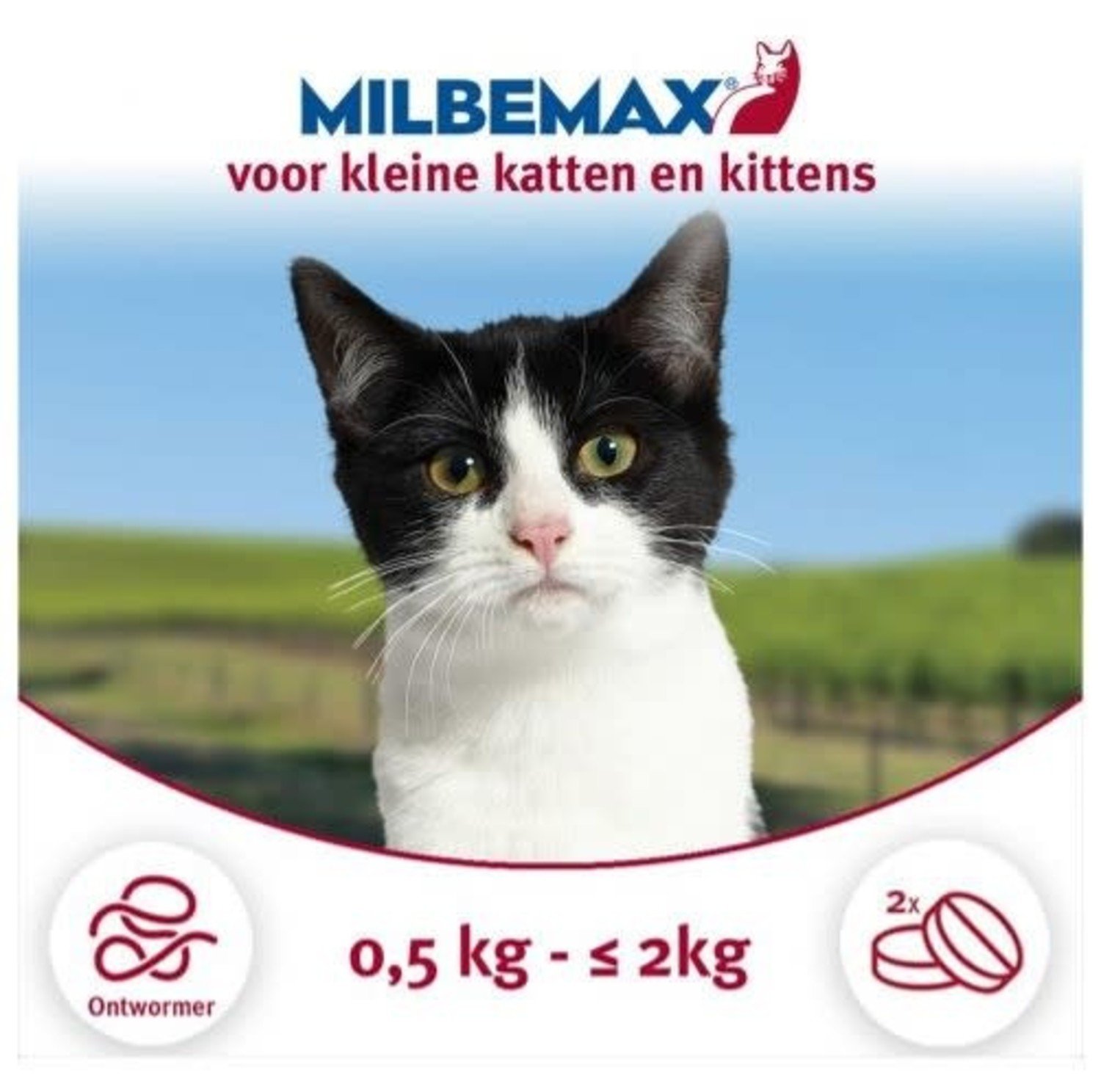 het formulier Tub vloek Kat Klein/Kitten - Animalis