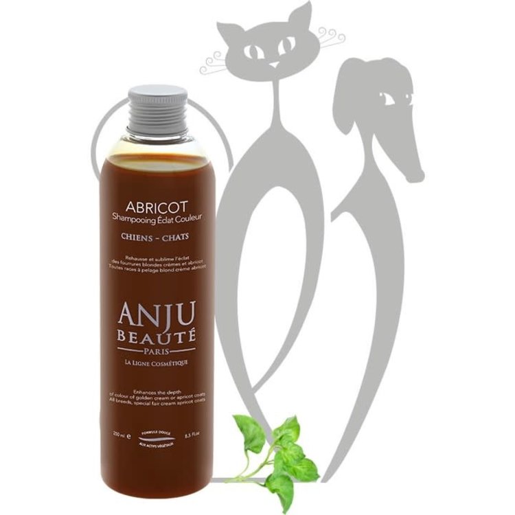 Anju Beaute Abricot Shampoo