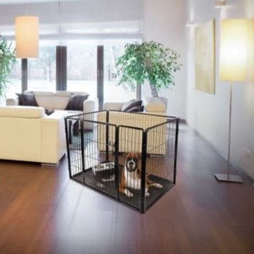 Flamingo Kennel "Kazan" Zwart