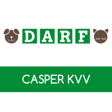DARF Caspar KVV