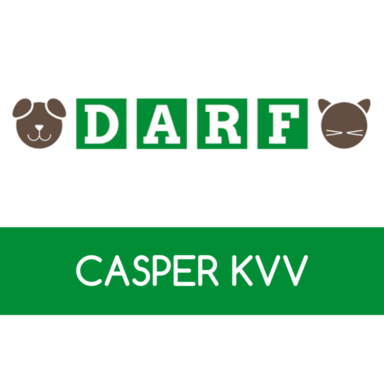 DARF KVV "Caspar"