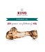 Kivo "Beefbone / Dino Bone"