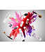 ShowTech Texture-IT: Volumizing, Colouring & Stripping Powder