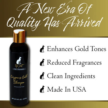 Chris Christensen Top Cat Gorgeous Gold Shampoo