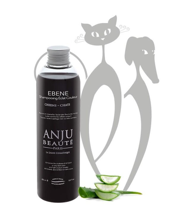 Anju Beaute Ebene Shampoo