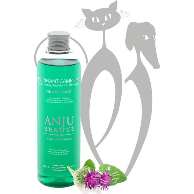 Anju Beaute Purifiant Camphre Shampoo