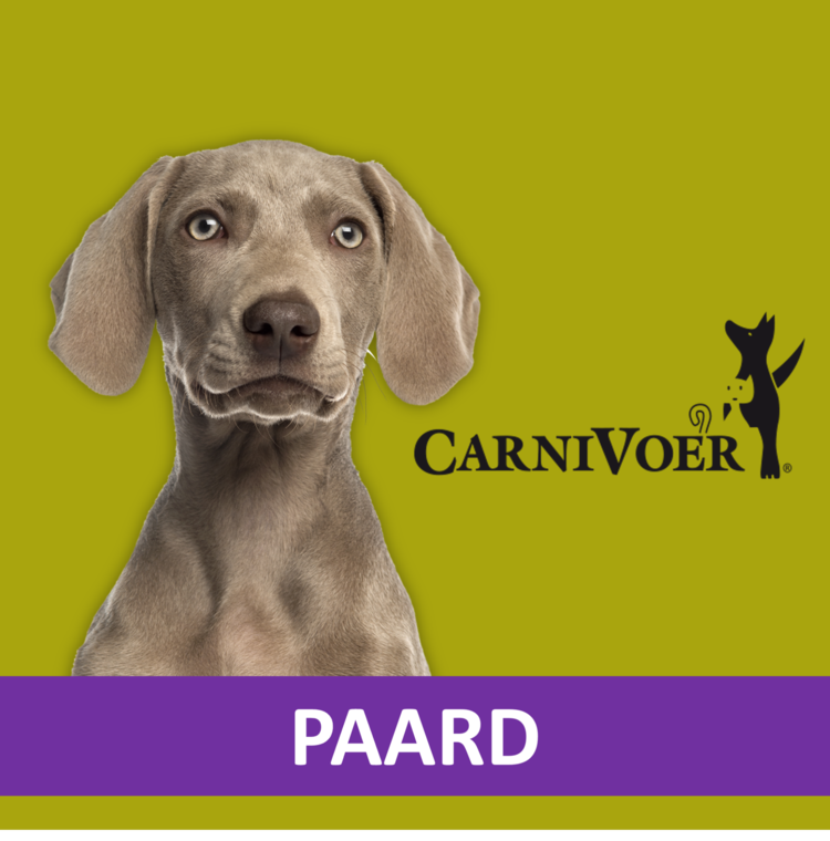 Carnivoer Paard Mix