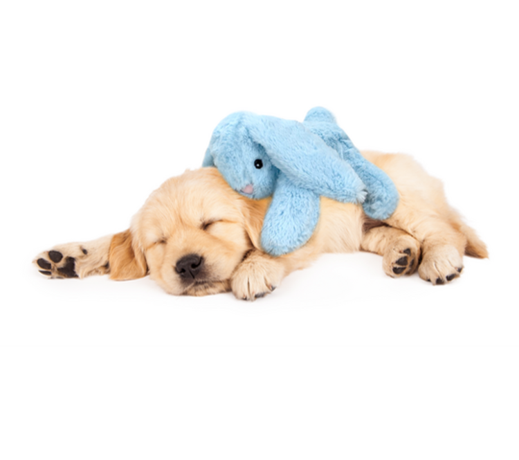 Cozy Dog Knuffel met Hartslag en Warmte 30*20 cm