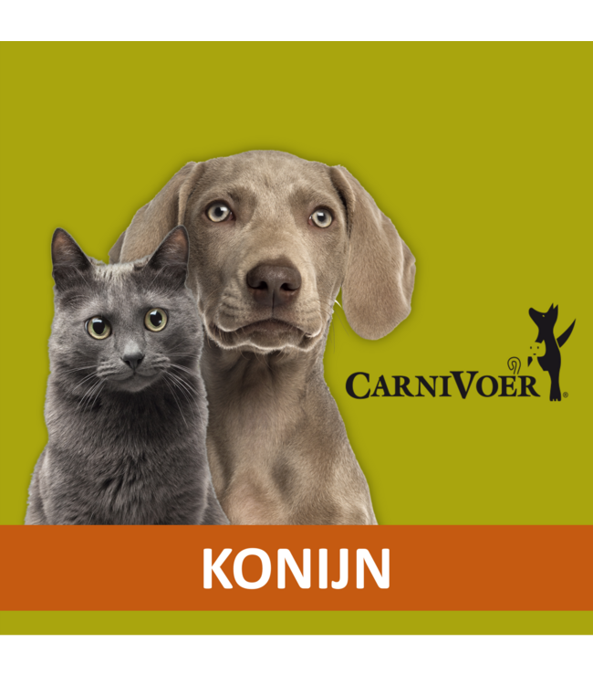 Carnivoer Konijn Mix