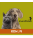 Carnivoer Konijn Mix