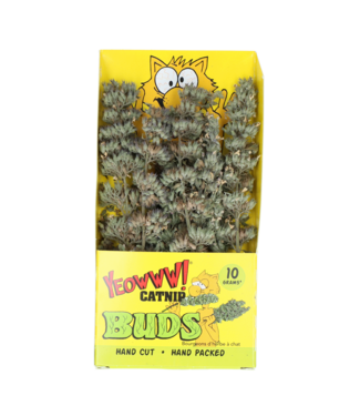 Yeowww! Catnip Buds