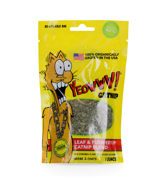 Yeowww! Catnip
