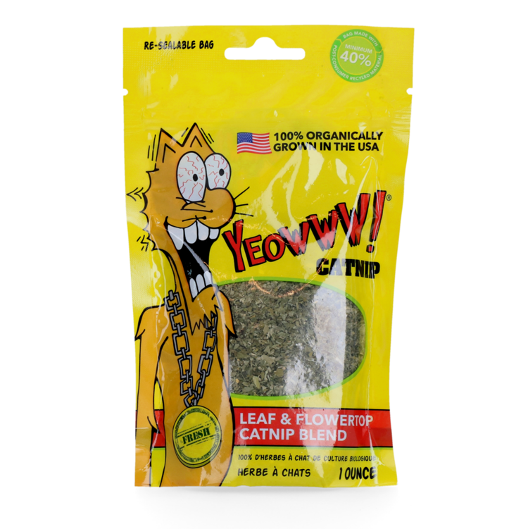 Yeowww! Catnip