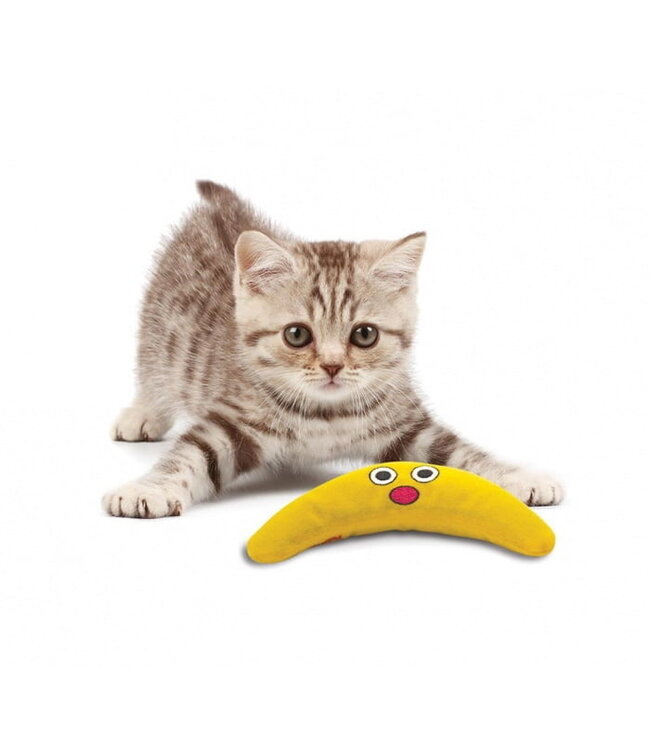 Outward Hound CATSTAGES "Green Magic Boomerang Buddy"