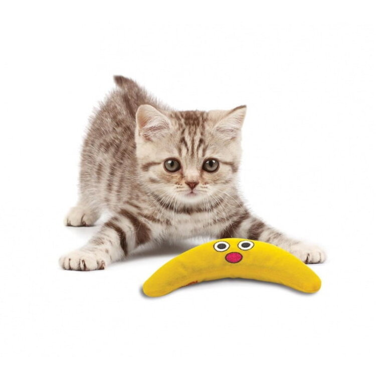 Outward Hound CATSTAGES "Green Magic Boomerang Buddy"