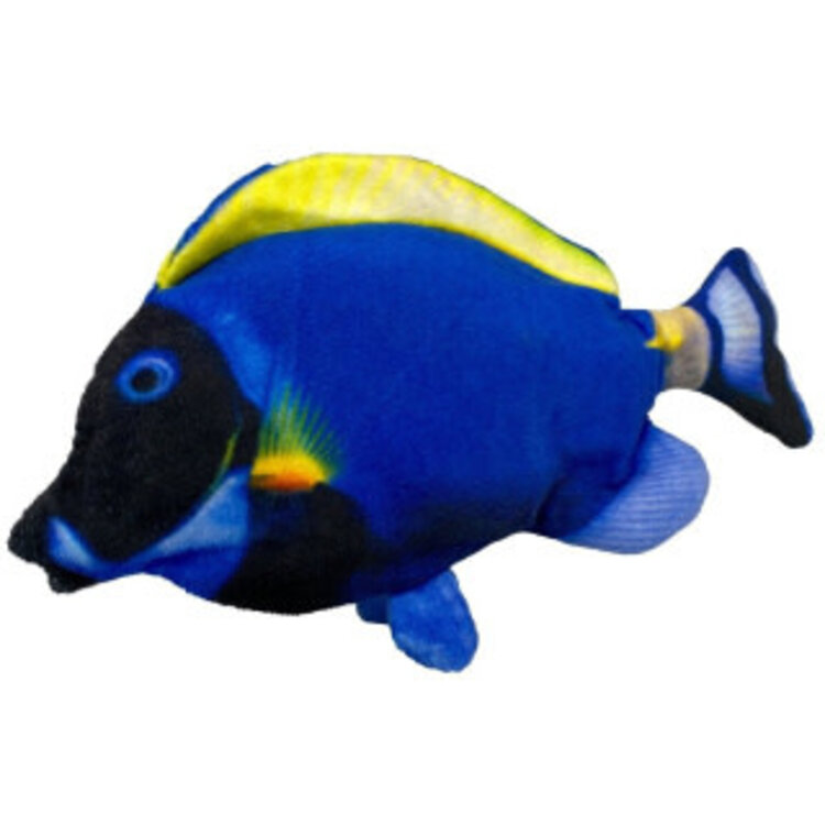 Aumuller Zappelfische