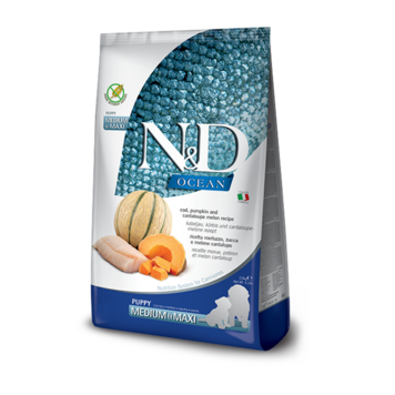 Farmina N&D OCEAN Puppy Cod, Pumpkin & Melon Medium/Maxi