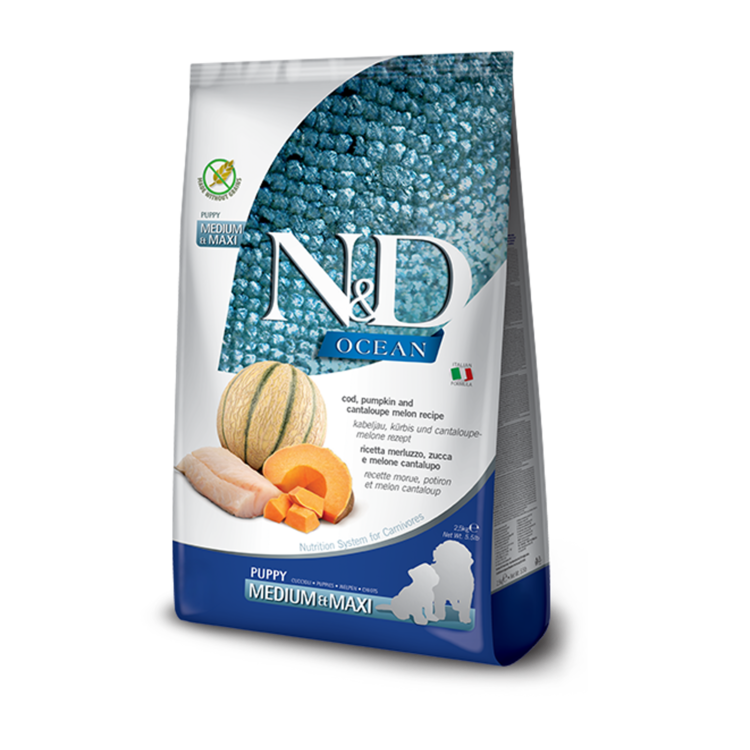 Farmina N&D OCEAN Puppy Cod, Pumpkin & Melon Medium/Maxi