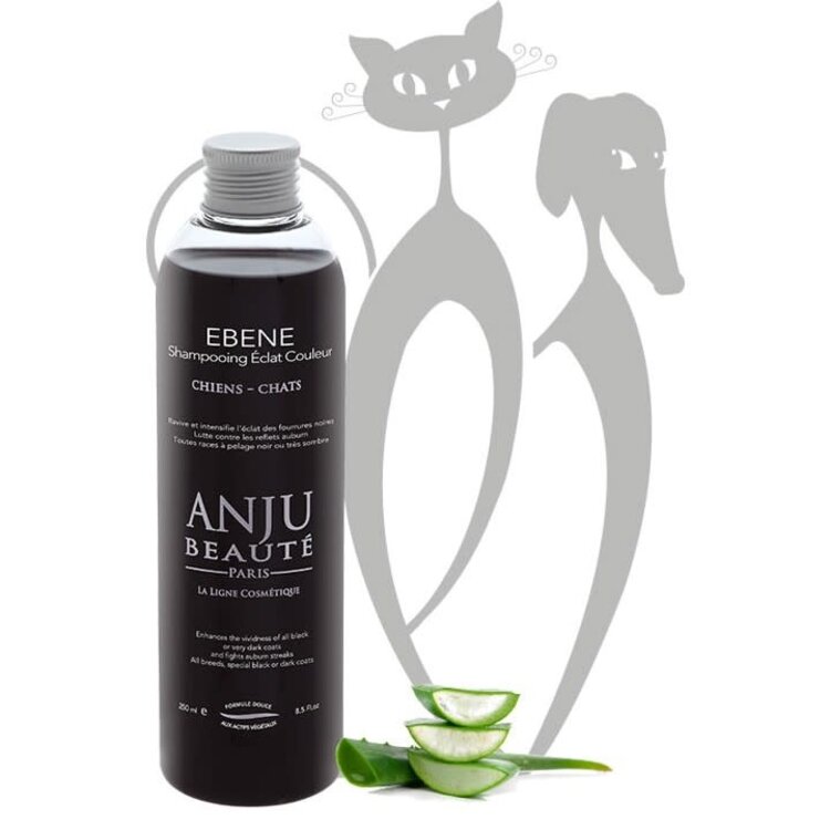 Anju Beaute Ebene Shampoo