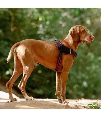 Rogz AIRTECH Sport Harness