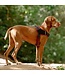 Rogz AIRTECH Sport Harness
