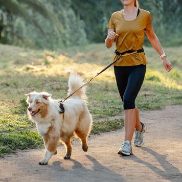 Rogz AIRTECH Sport Belt & Lead